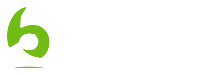 6Wickets